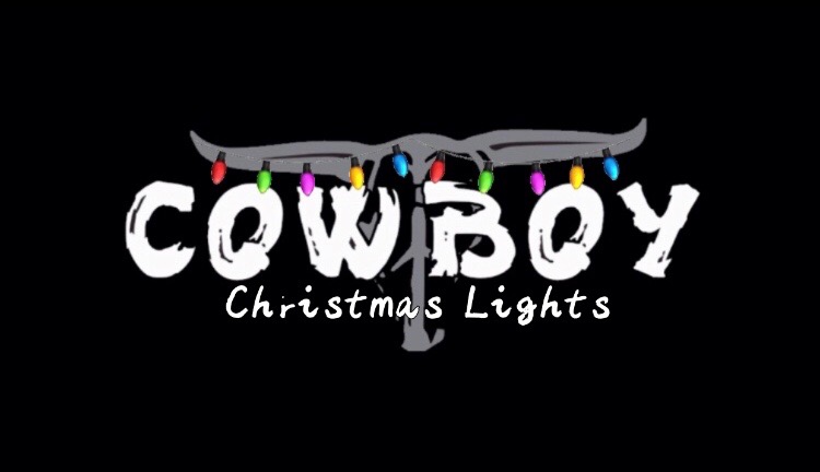 Lillian TX Christmas Light installation